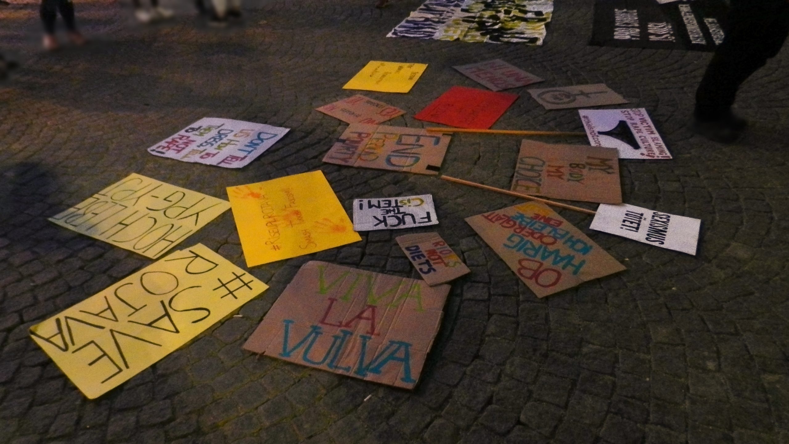 Foto vieler verschiedener Demo-Schilder – unter anderem mit folgenden Aufschriften: "Save Rojava", "Sexismus tötet!", "Ob haarig oder glatt, ich bleibe eine Slut", "Viva la Vulva", "Hoch lebe YPG-YPJ", "Fuck the cistem", "Riots not diets", "Don't tell us how to dress, tell them not to rape!"